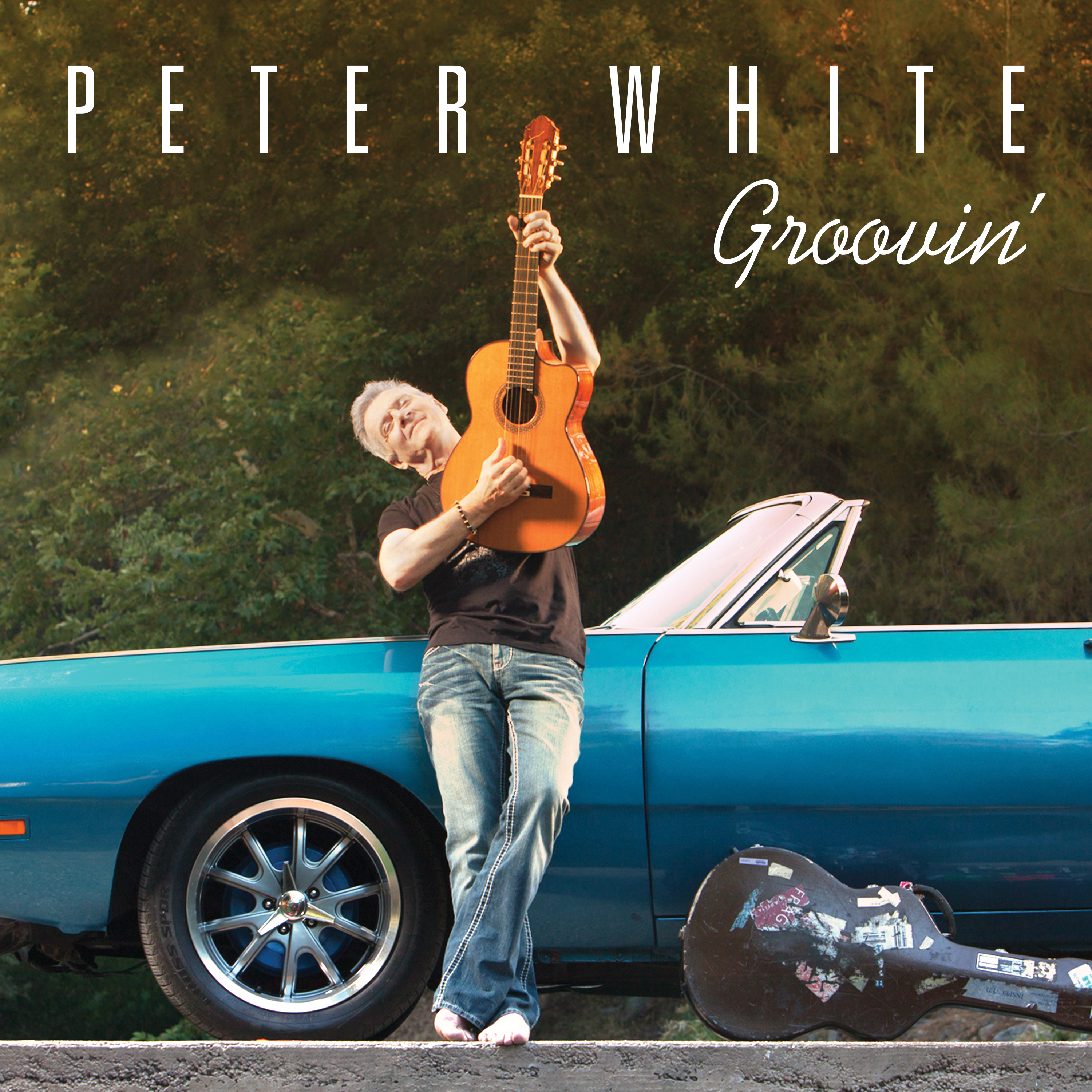 peter white guitar