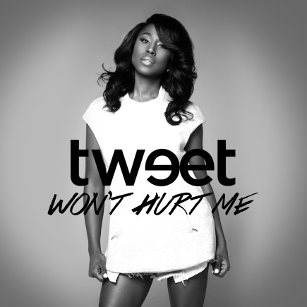 Tweet-Won't Hurt Me-single_cover_art